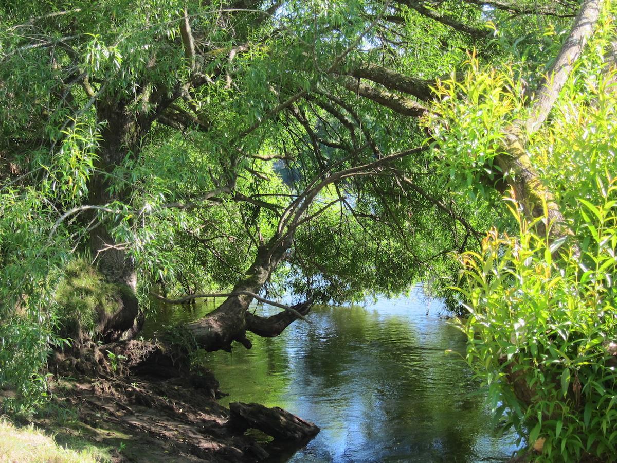 On The River Tamahere Εξωτερικό φωτογραφία